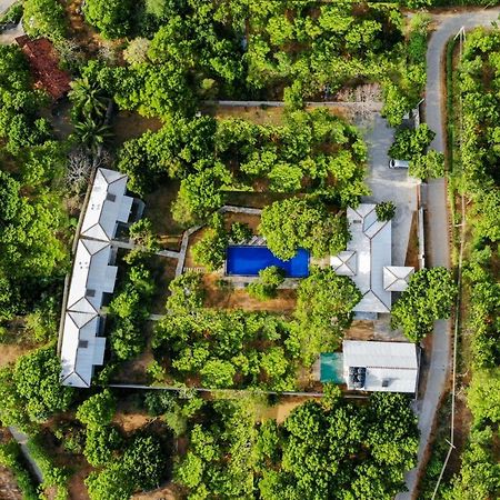 Hotel Arana Yala Exteriér fotografie